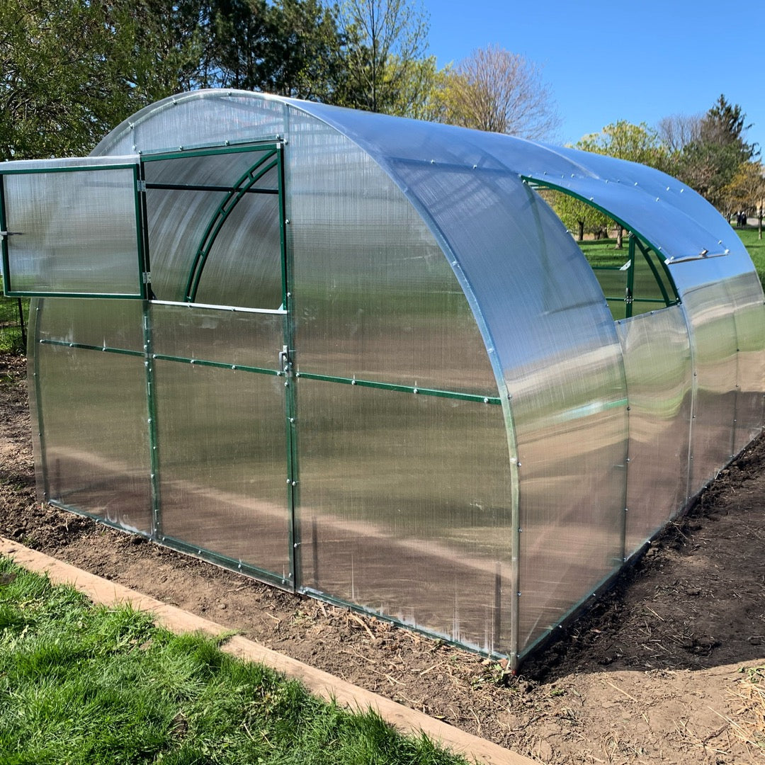 Camellia Vinterhas VENT WINDOW